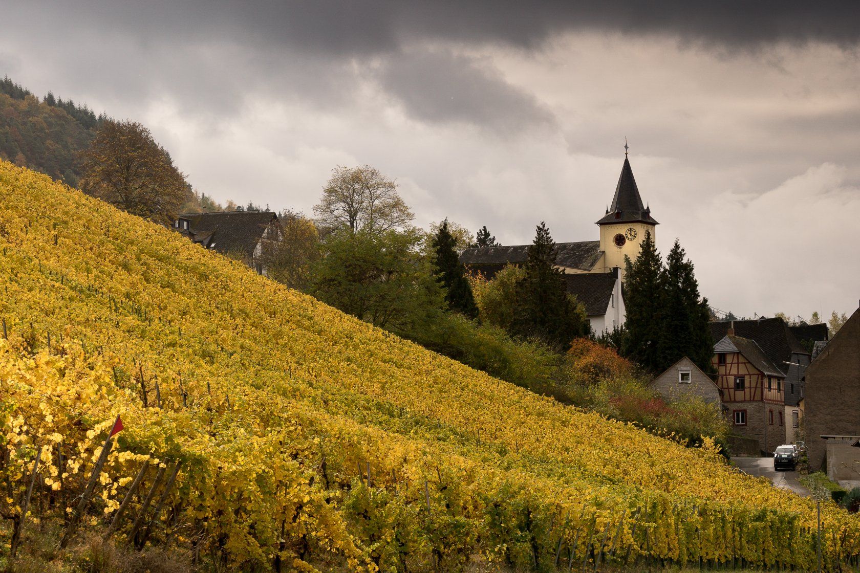 lokaal uitzicht-op burg-moezel lokaal uitzicht Burg Moezel
