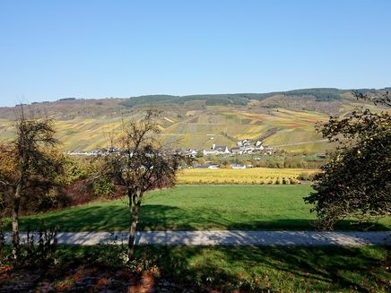 wijngaarden -kleurenpracht-kindel-kinheim Kleurrijk uitzicht op Kinheim vanuit Kindel