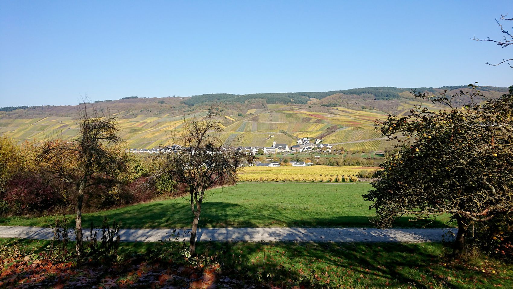 wijngaarden -kleurenpracht-kindel-kinheim Kleurrijk uitzicht op Kinheim vanuit Kindel