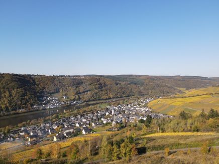 de uitzicht-enkirch-dorpsgezicht-herfst Herfstuitzicht op Enkirch van bovenaf