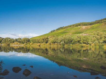 aan-de-oevers-van-de-Moezel-wijngaard-reil Aan de oevers van de moezel van Reil met uitzicht op wijngaarde