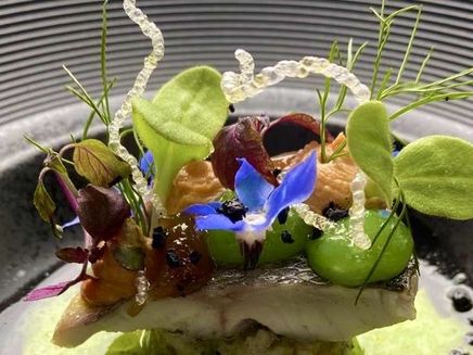 tophoreca-melsheimer-reil Topgastronomie in het Hotel Villa Melsheimer Reil