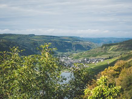 Bekijk-vooruitzicht-enkirch-starkenburg Vooruitzicht met zicht op Enkirch vanuit Starkenburg