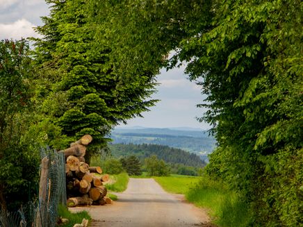 bos-eifel gemeenschaap veldweg bij het bos in de eifel gemeenschaap
