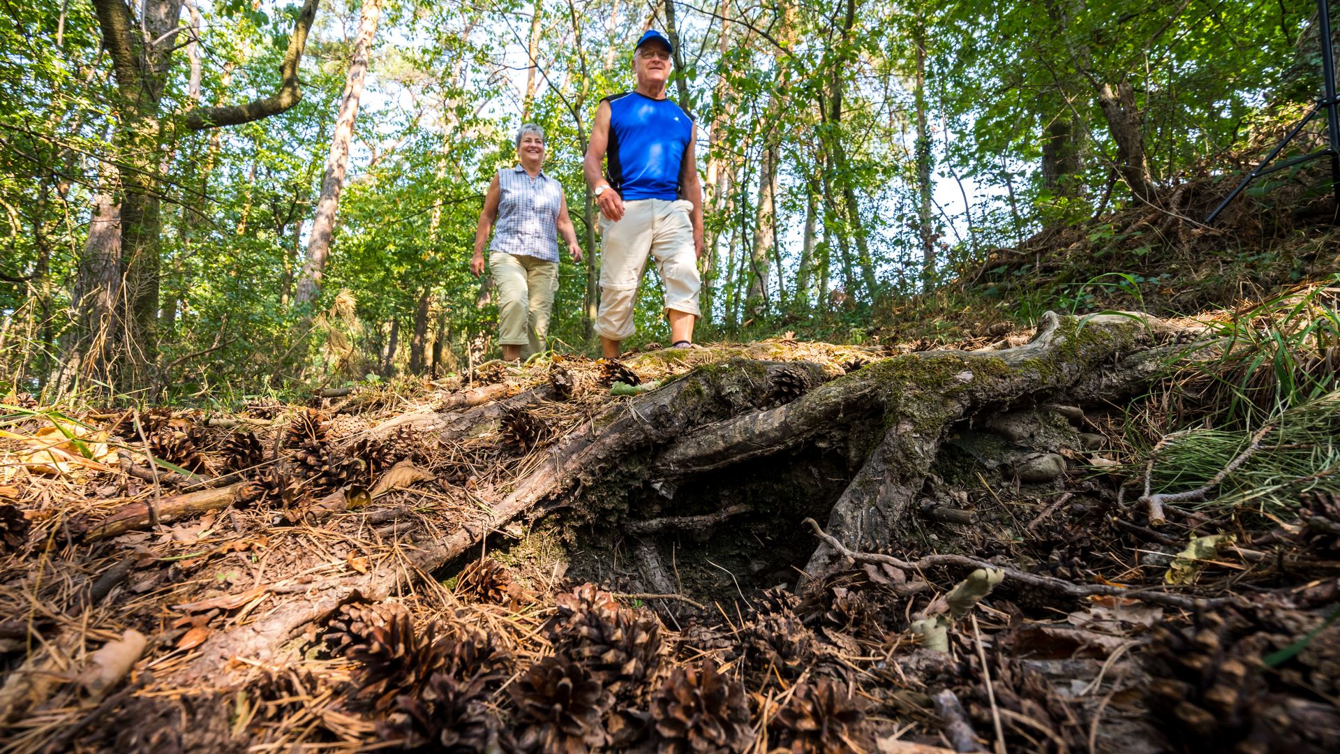 Wandelroutes Wandelaars in het bos
